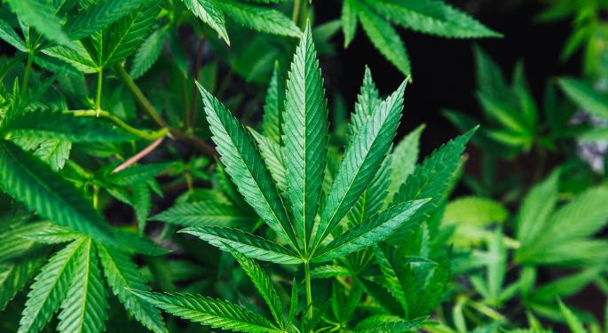 Wells Fargo Rates Four Cannabis Stocks – Scotts Miracle-Gro Is 'Flashing Green' As Buy Opportunity