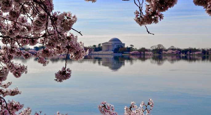 Washington DC Decriminalizes Psychedelic Plants, Fungi