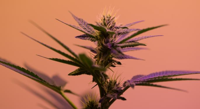 Mayor Of Birmingham, Alabama To Pardon 15,000 Cannabis Convictions, The State Democratic Party Calls For Legalization