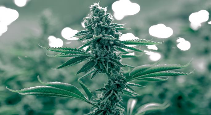 Hydroponics Producer Hydrofarm Prices $269M Offering Lead By JPMorgan, Stifel
