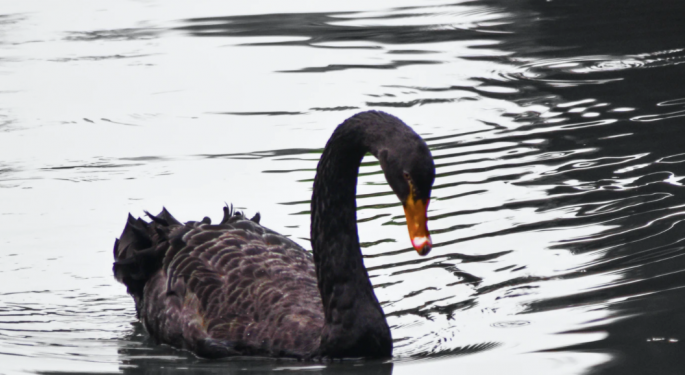 Bitcoin Is An 'Open Ponzi' And 'Failed Currency,' Says Black Swan Author Nassim Taleb