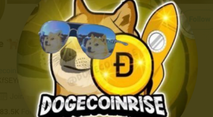 EXCLUSIVE: Dogecoin Rise On Working With Brands, Supporting Doge Community, Elon Musk And More