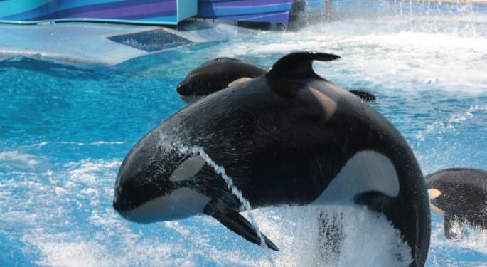 What To Expect From SeaWorld's Expansion Into Abu Dhabi