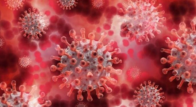 Qualigen Therapeutics Plans to Combat COVID-19 Variants
