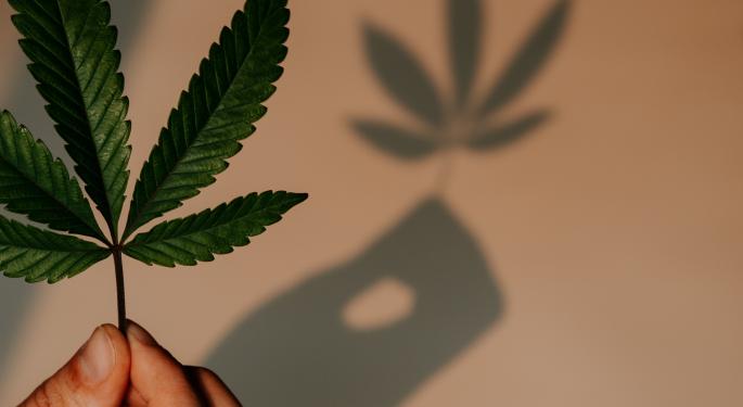New To Weed? This Is The Only Guide You Need