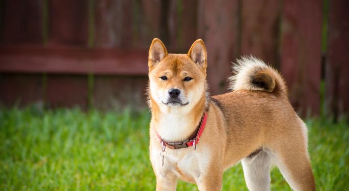 Why Is Shiba Inu Rising Over The Holidays?