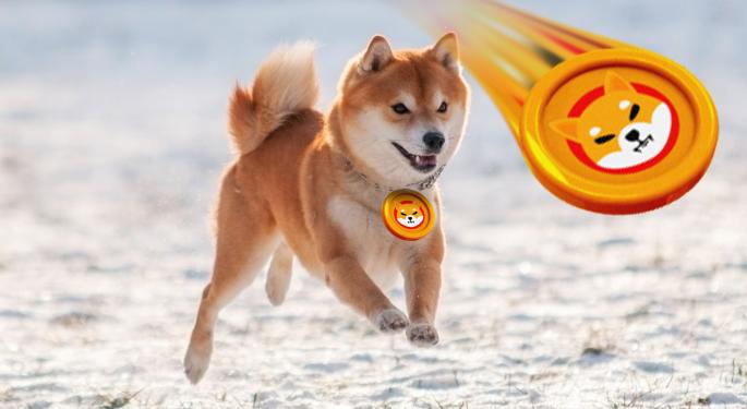 Shiba Inu Regains $0.00003, May Reach New ATH, Says US Senate Candidate Shannon Bray