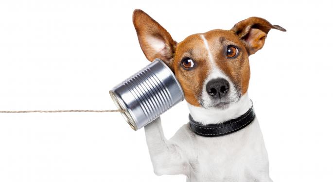 Initial Phone Interview? Here's How to Nail It