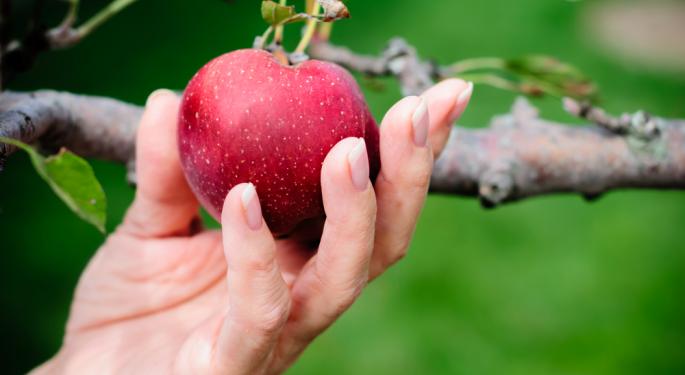 Adobe Tempts Users with Forbidden Fruit, Could Take Legal Action if You Bite