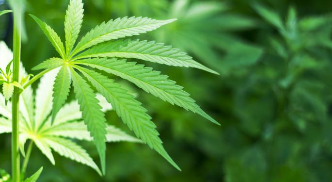 The Future Of Marijuana Policy: Northwest 