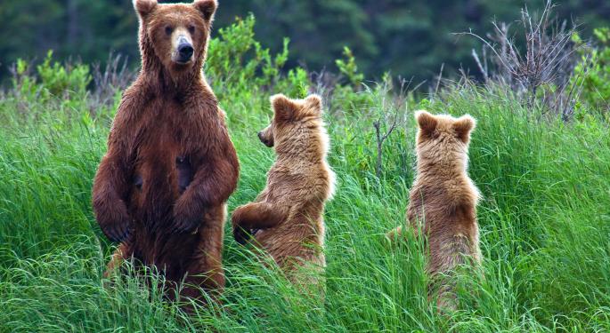 January Volatility Alert: Be On The Lookout For Bears!