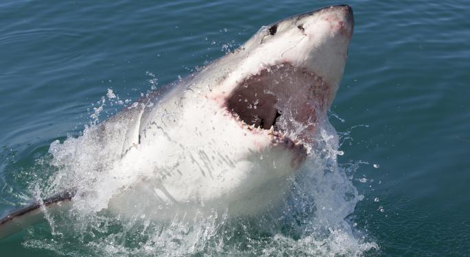 Shark Week Results In A Ratings Frenzy For Discovery