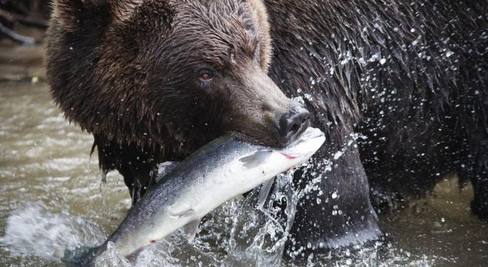 Feeding A Bear Position With The EUR/USD Pair