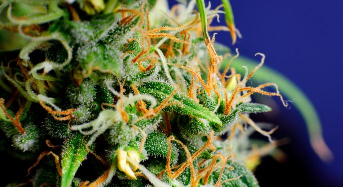 A Look At 2014's Leading Cannabis Stocks Part II 