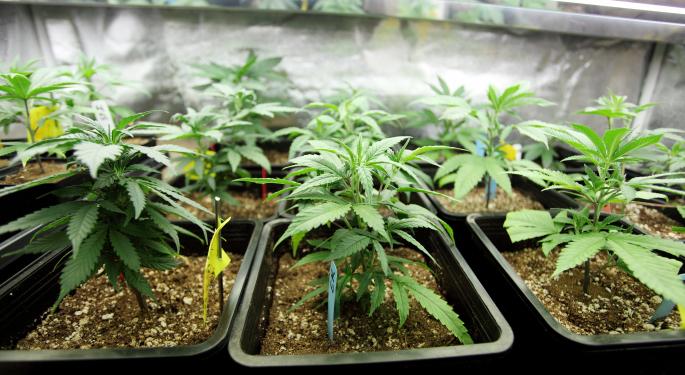 The 'Green Rush' Is Bringing Traders New And Old Into To The Fold Of Marijuana Stocks
