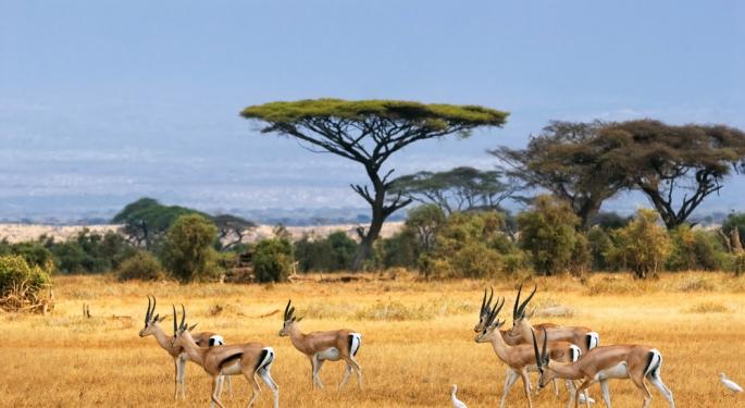 Kenya: Euphoria in Kogelo following Obama's Reelection