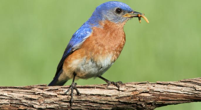 Earlybird Venture Capital Closes Fourth Fund At $200M, Total Capital Now At $800M