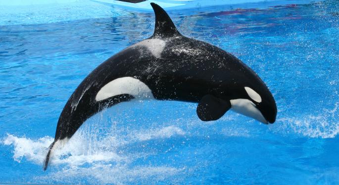Own a Stake in SeaWorld's Shamu Starting Friday