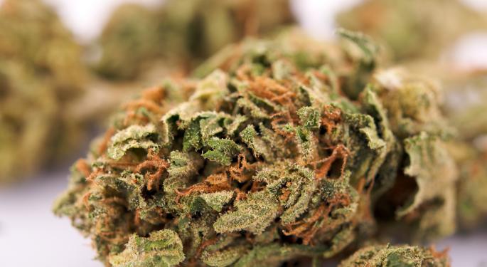 Terra Tech CEO Derek Peterson: CBD Extraction 'Not Where It Needs To Be'