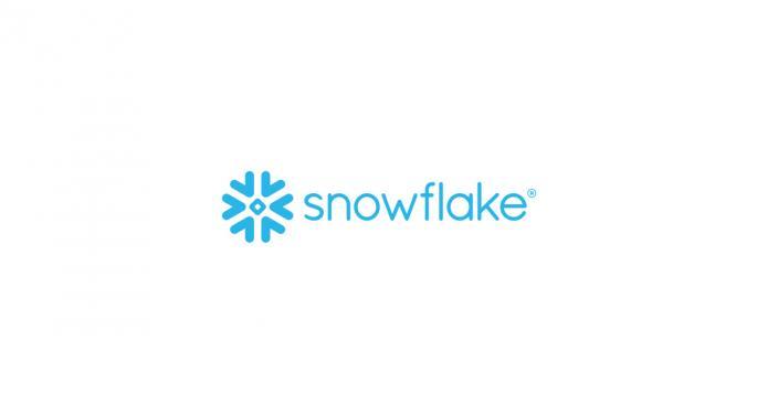 Let It SNOW: Wall Street Cheers Snowflake's 'Impressive' Results, Confidence In Long-Term Growth