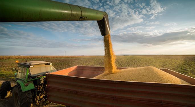 Why Brazil Has Grown As A Soybean Producer