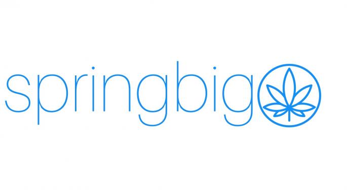SpringBig Buys BudTender, Boosts Clientele To About 2K Retail Partners