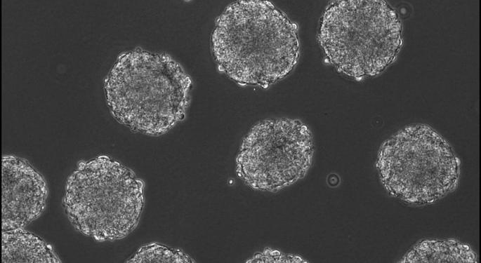 BioTime CEO Explains What Could Happen To Stem Cell Research And The Company Under A New Guard In Washington