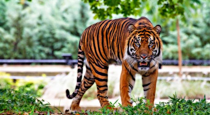 How Social Data Predicted Disney's 'Jungle Book' Success