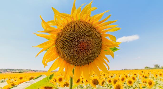 Super-Prime Lending A 'Ray Of Sunshine' For SunTrust