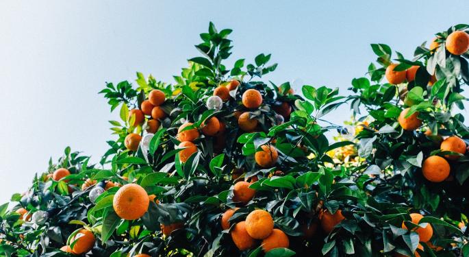 WisdomTree Provides Little Fruit For Investors; UBS Says Sell