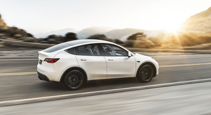 Tesla's Gigafactory Berlin Construction Halted Due To Sleeping Snakes