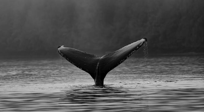 Ethereum Whale 'Gimli' Adds 31B Shiba Inu Tokens To $45M Holdings