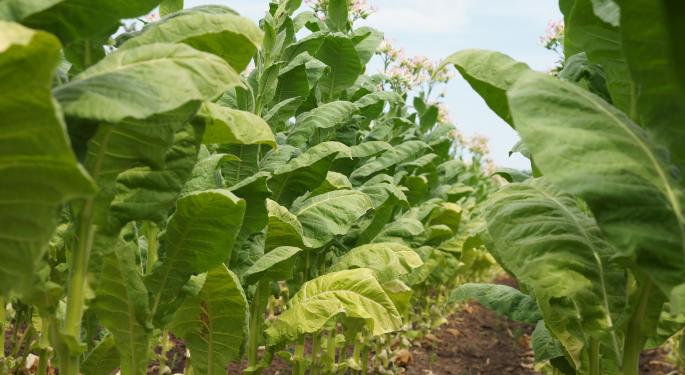 Better Late Than Never: How The Tobacco Industry Could Benefit From Pot