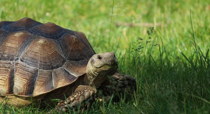 Investing For Retirement? Be The Turtle, Not The Hare