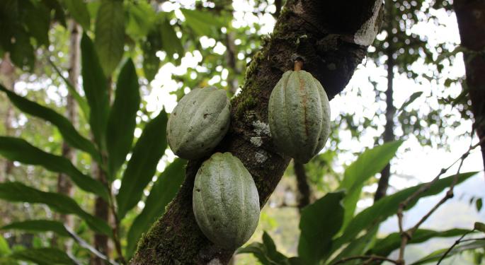 Blockchain Can Eradicate Inhumane Working Conditions In The Chocolate Industry