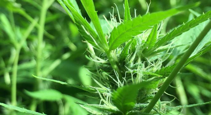 What The Vape Scare Means For Cannabis Sales