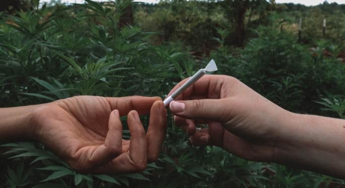 The Path To Organic For The Marijuana Industry