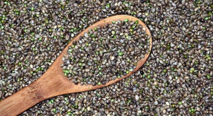 Adding Hemp Seeds To Your Daily Diet: What Are The Benefits?