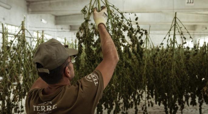 Roll Up Life Inc. Combines Cannabis With Social Equity