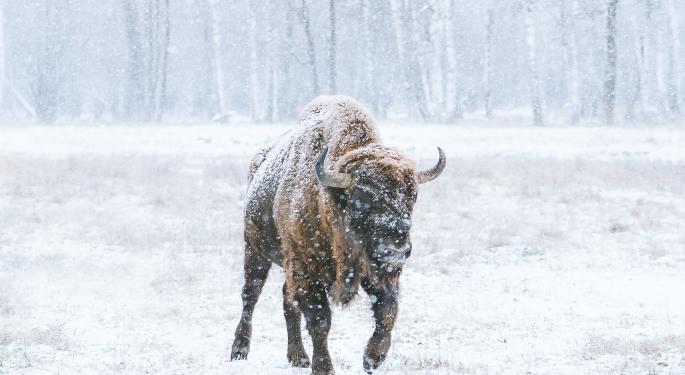 Why Jon Najarian Is Bullish On Snowflake
