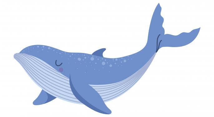 Ecco le 10 criptovalute preferite dalle balene di Ethereum