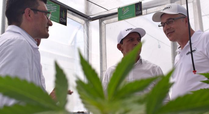Exclusive: Vinzan International Announces Cannabis Acquisition, Formation Of Vinzan Colombia