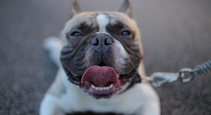 Why Baird Is Bullish On Chewy