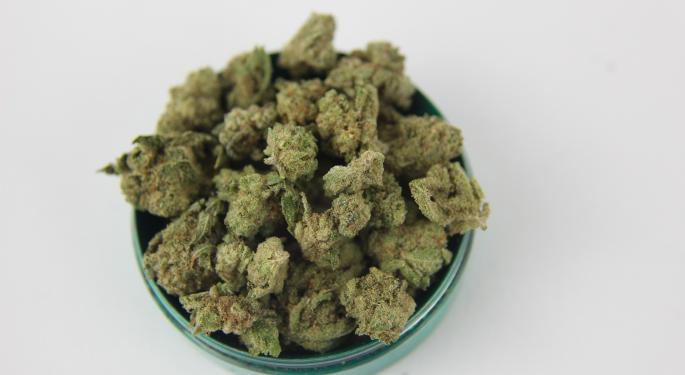 Chicago Airports Install Cannabis Amnesty Boxes