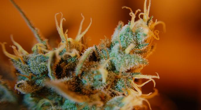 Canopy Growth CEO Talks Leadership Concerns, Vaping, Beverages, Acreage Deal