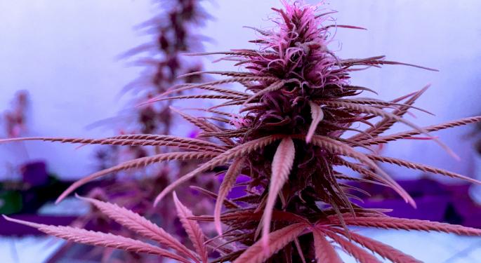 Pot Stocks, ETFs, Top News And Data From The Cannabis Industry This Week