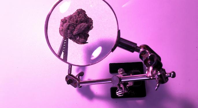 Researchers Find Endocannabinoids In Gut Might Regulate Obesity