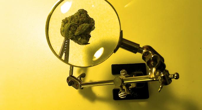 'A New Way To Treat The Brain': Stanford University Scientists Launch Cannabis Pharma Company