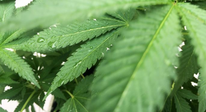 Why Marijuana Companies Are Rebranding Themselves As Health Care Companies