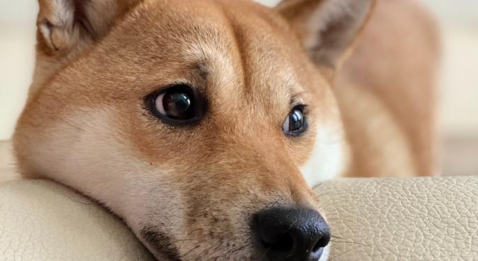 These Two Cryptocurrencies Gave Better Returns Than Dogecoin In 2021 First-Half